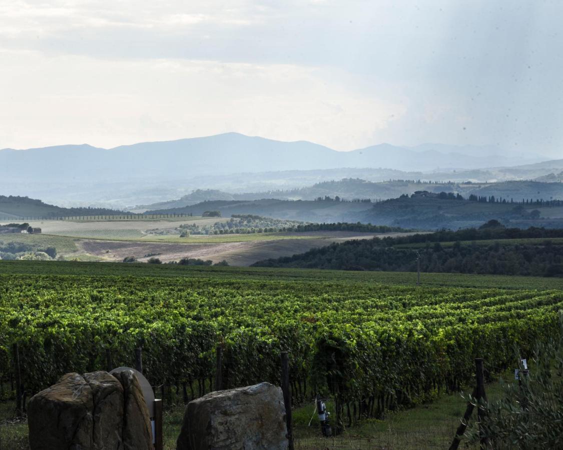 Podere Brizio Montalcino Exteriér fotografie